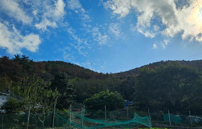 법원경매 2024타경5136 사진3 | 통영시 욕지면 서산리 임야 경매