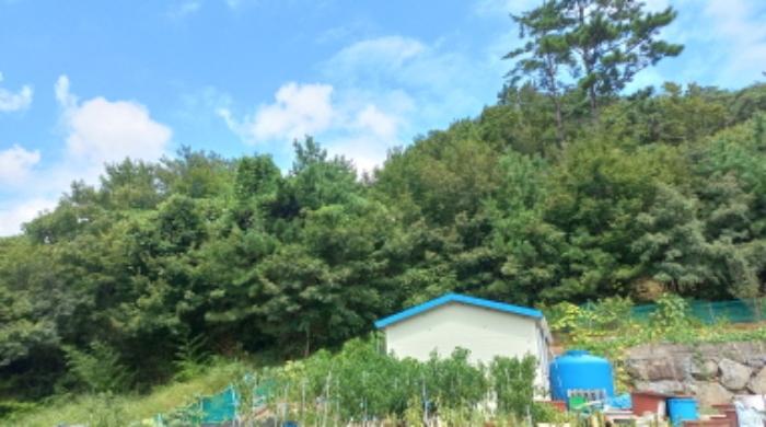 2024타경28726 법원경매 사진48 | 경남 거제시 임야 경매