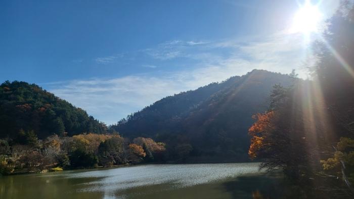 경상남도 거제시 연초면 죽토리 산83-1 법원경매 물건 대표사진