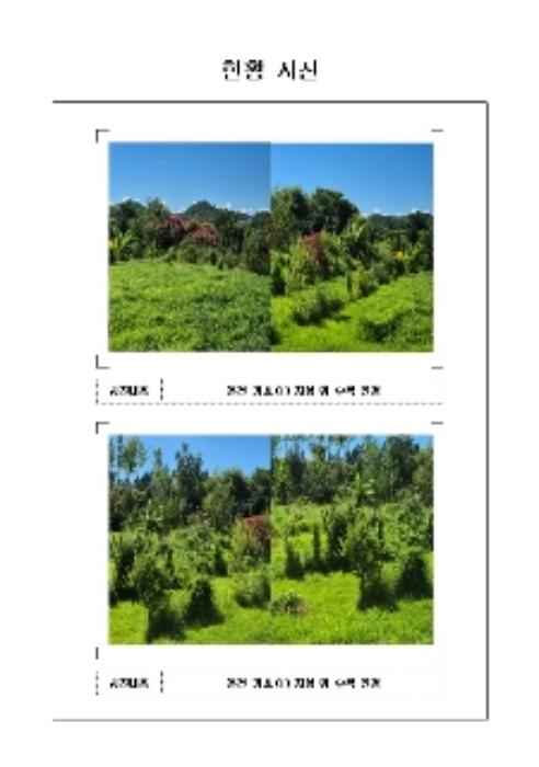 2024타경54755 법원경매 사진3 | 전남 영암군 전 경매
