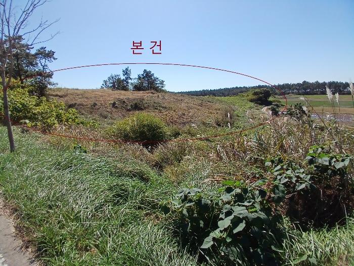 2024타경56690 법원경매 사진5 | 전남 신안군 전 경매