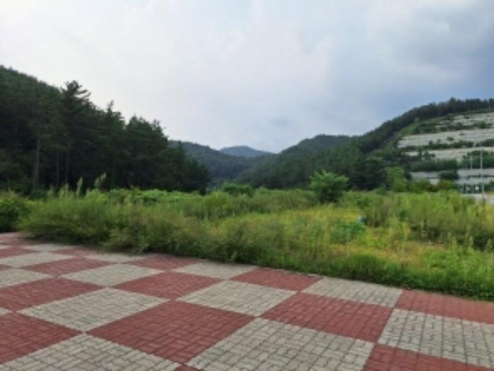 2024타경58425 법원경매 사진3 | 전남 광양시 임야 경매