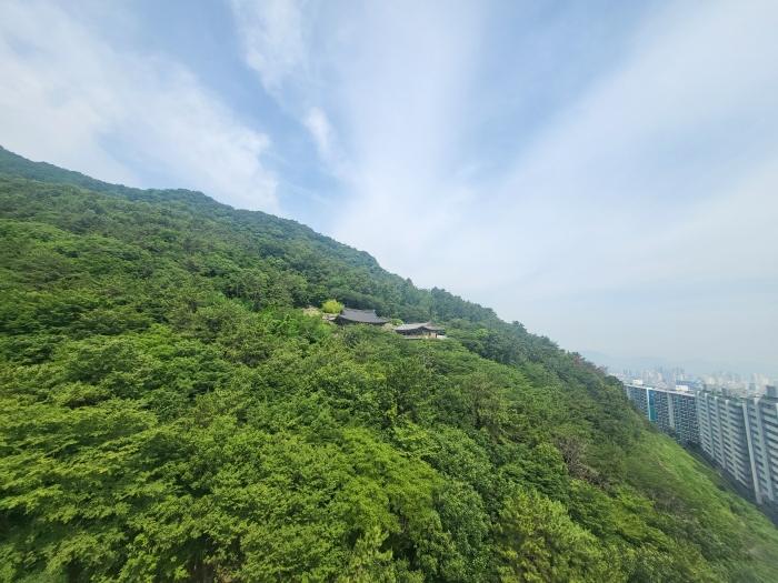 법원경매 2024타경105493 사진2 | 부산 사상구 학장동 임야 경매