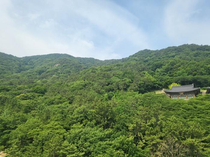 법원경매 2024타경105493 사진3 | 부산 사상구 학장동 임야 경매