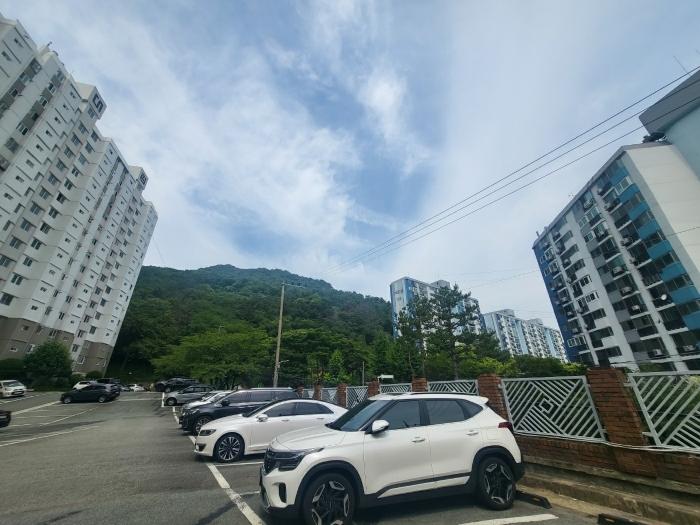 법원경매 2024타경105493 사진4 | 부산 사상구 학장동 임야 경매