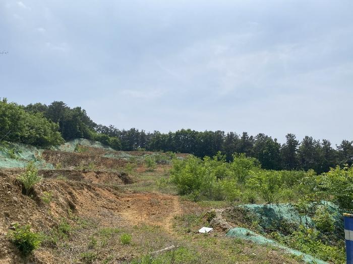 2024타경65487 법원경매 사진2 | 용인 처인구 임야 경매