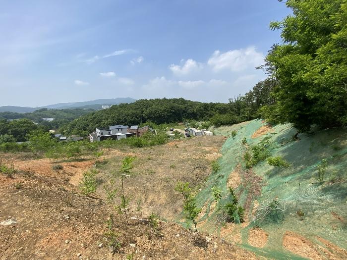 2024타경65487 법원경매 사진4 | 용인 처인구 임야 경매