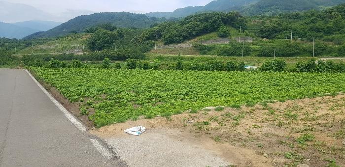2024타경3151 법원경매 사진8 | 경남 하동군 답 경매