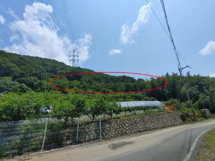 2024타경1618 법원경매 사진6 | 경남 밀양시 전 경매