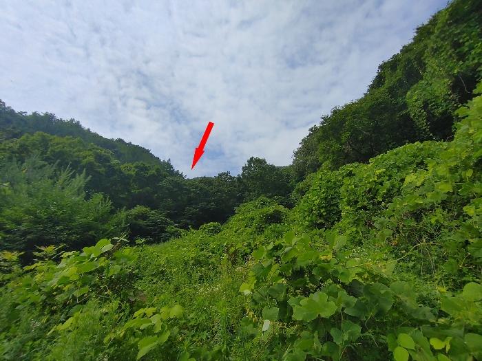 법원경매 2024타경1700 사진2 | 밀양시 단장면 무릉리 1349 전 경매