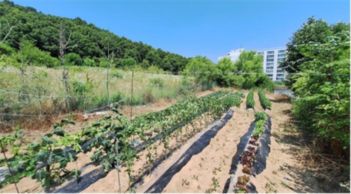 법원경매 2024타경402942 사진3 | 원주시 소초면 장양리 1295-18 전 경매