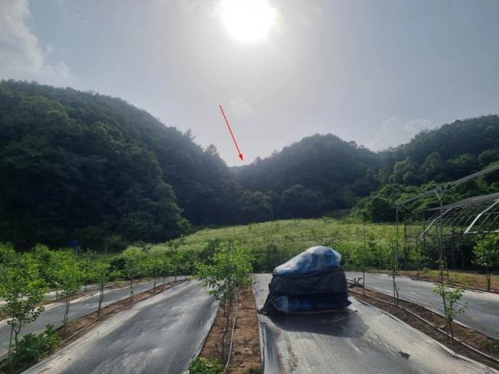 강원특별자치도 원주시 문막읍 비두리 282 법원경매 물건 대표사진