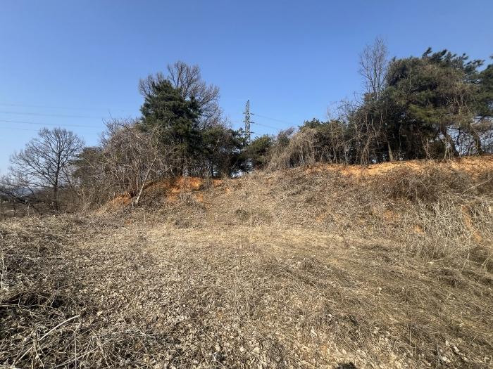 법원경매 2024타경516 사진3 | 양평군 양평읍 공흥리 643-10 임야 경매