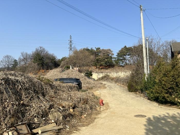 법원경매 2024타경516 사진4 | 양평군 양평읍 공흥리 643-10 임야 경매