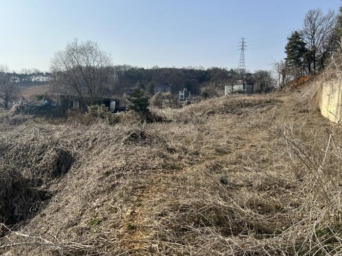 법원경매 2024타경516 사진5 | 양평군 양평읍 공흥리 643-10 임야 경매