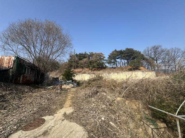 법원경매 2024타경516 사진7 | 양평군 양평읍 공흥리 643-10 임야 경매