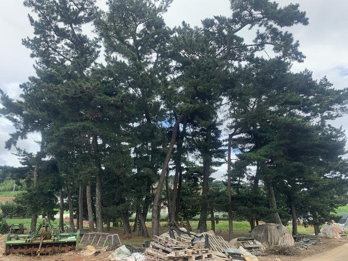 2023타경54967 법원경매 사진7 | 충남 태안군 전 경매