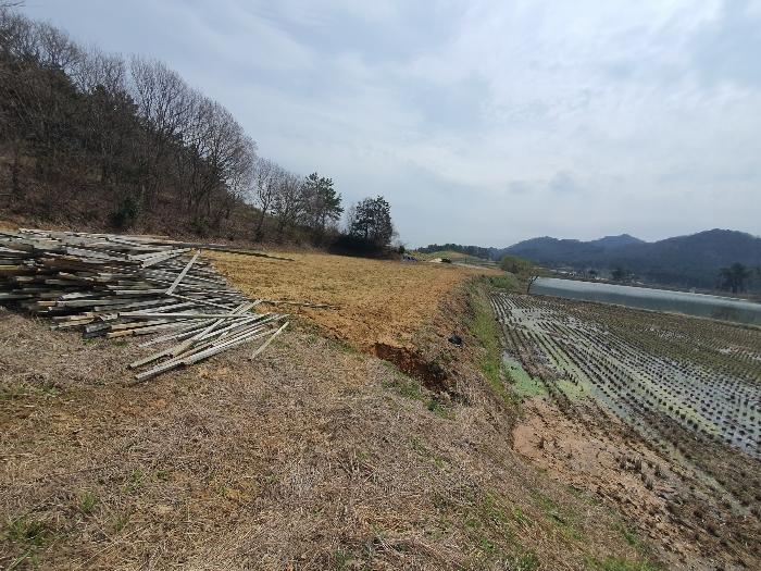 전남 영광군 홍농읍 성산리 72 답 경매 물건 사진