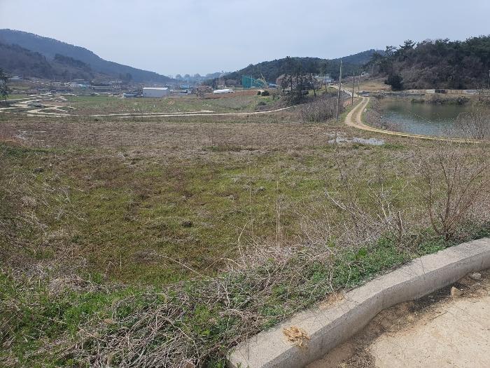 전남 영광군 홍농읍 성산리 72 답 사진 5
