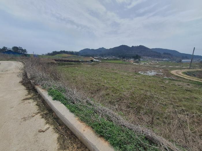법원경매 2024타경65226 사진14 | 영광군 홍농읍 성산리 임야 경매