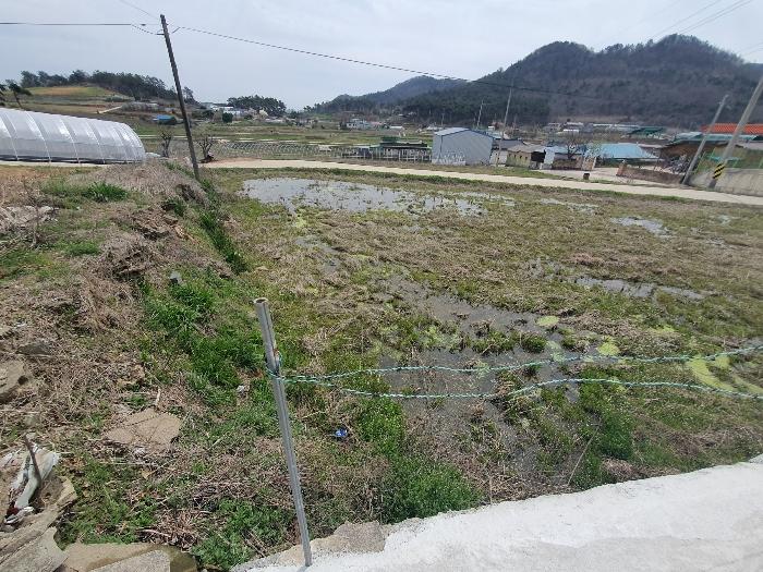 법원경매 2024타경65226 사진21 | 영광군 홍농읍 성산리 임야 경매