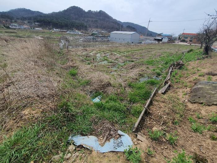 법원경매 2024타경65226 사진31 | 영광군 홍농읍 성산리 임야 경매