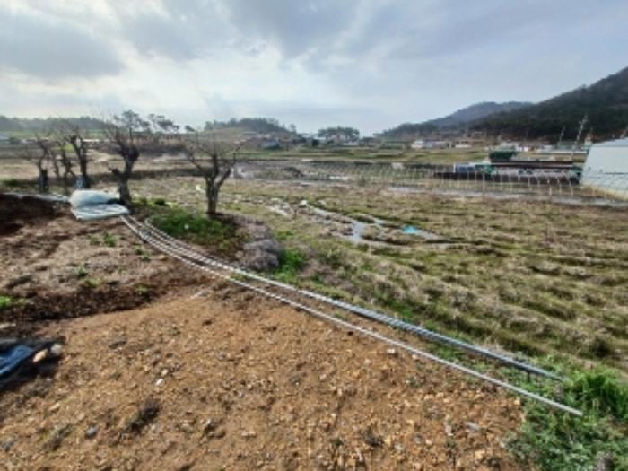 법원경매 2024타경65226 사진56 | 영광군 홍농읍 성산리 임야 경매