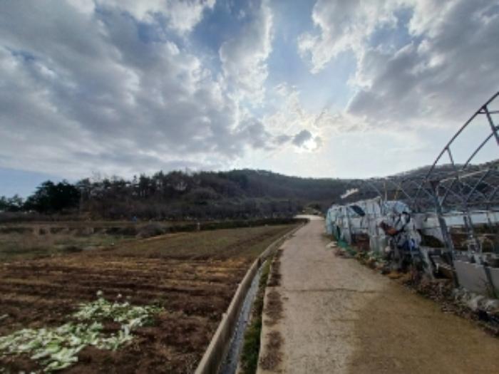 법원경매 2024타경65226 사진65 | 영광군 홍농읍 성산리 임야 경매