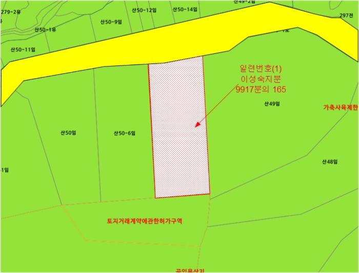 법원경매 2024타경70537 사진17 | 시흥시 월곶동 임야 경매