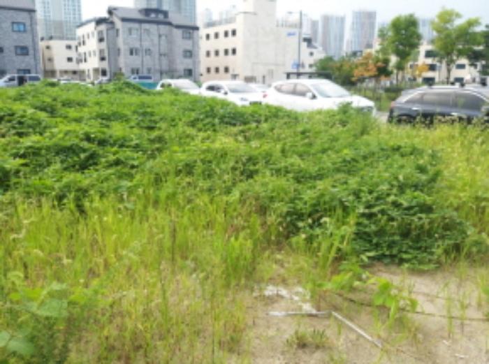 법원경매 2024타경50118 사진9 | 평택시 고덕동 2016-2 대지 경매