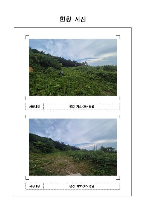 법원경매 2024타경3344 사진46 | 무안군 삼향읍 왕산리 1191-48 임야 경매