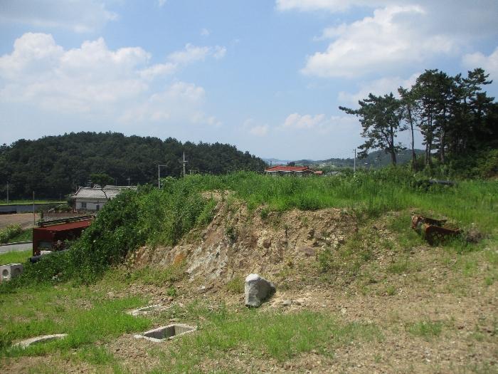 법원경매 2024타경3344 사진8 | 무안군 삼향읍 왕산리 1191-48 임야 경매