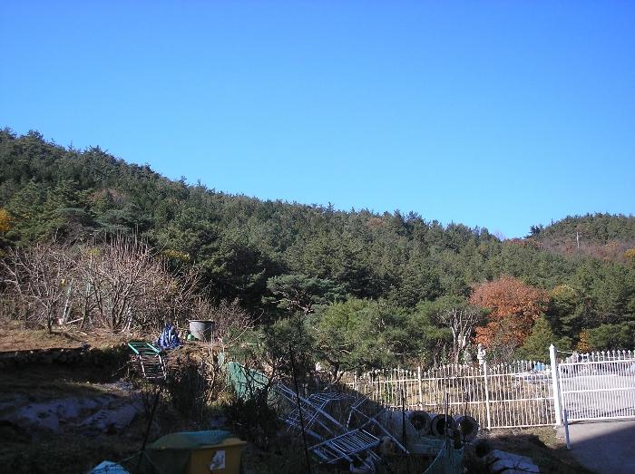 2024타경5261 법원경매 사진3 | 전남 광양시 임야 경매