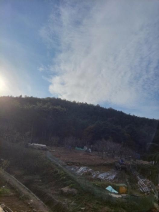2024타경5261 법원경매 사진6 | 전남 광양시 임야 경매
