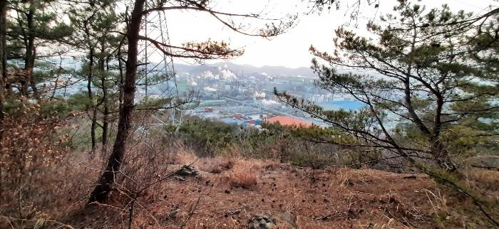 전라남도 여수시 중흥동 산172 법원경매 물건 대표사진