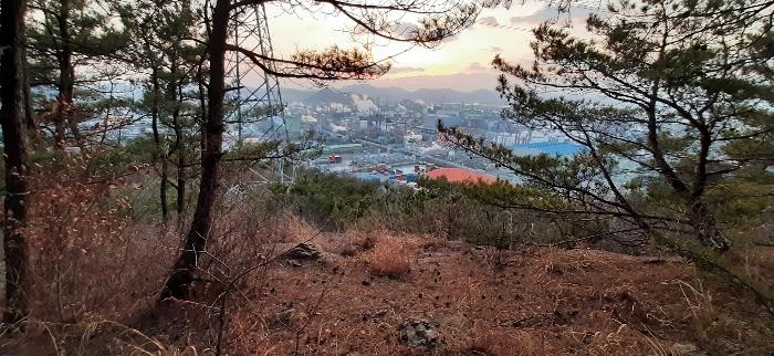 2024타경51547 법원경매 사진6 | 전남 여수시 임야 경매