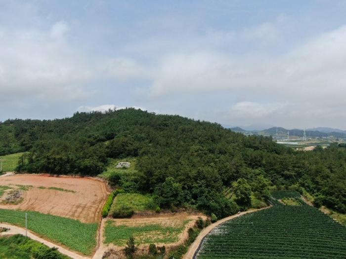 2024타경52888 법원경매 사진2 | 전남 해남군 임야 경매
