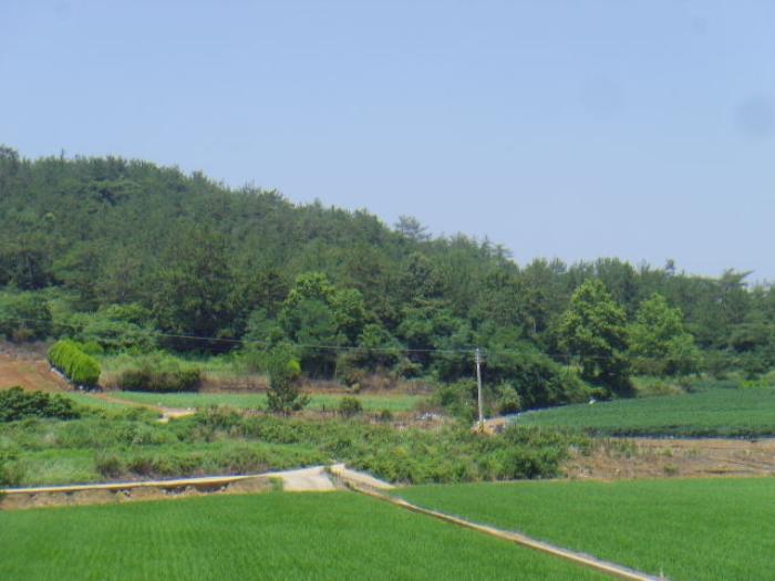 2024타경52888 법원경매 사진5 | 전남 해남군 임야 경매
