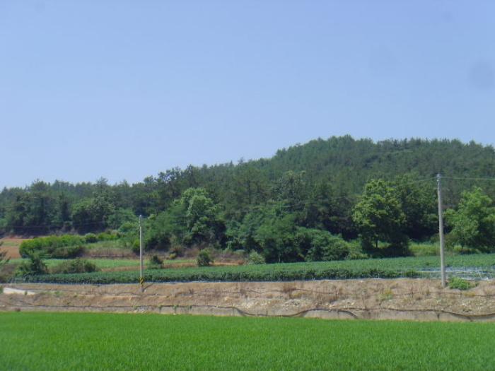 2024타경52888 법원경매 사진6 | 전남 해남군 임야 경매