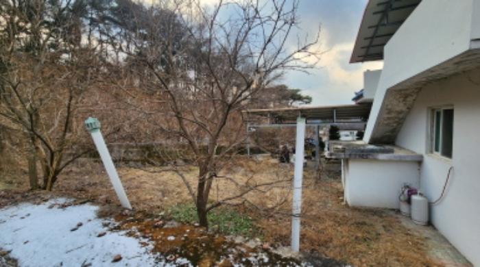 2024타경1803 법원경매 사진27 | 충북 제천시 임야 경매