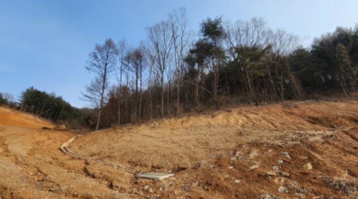 2024타경1803 법원경매 사진40 | 충북 제천시 임야 경매