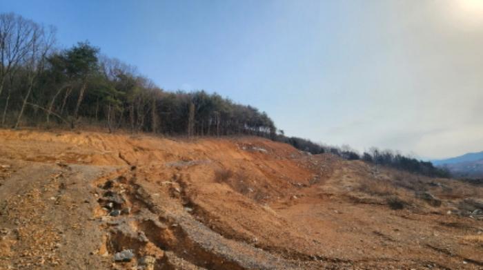 2024타경1803 법원경매 사진41 | 충북 제천시 임야 경매