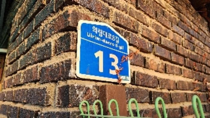 2024타경6921 법원경매 사진4 | 충북 제천시 도로 경매