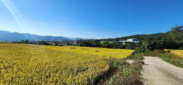 법원경매 2024타경3288 사진8 | 경주시 안강읍 옥산리 1620 전 경매