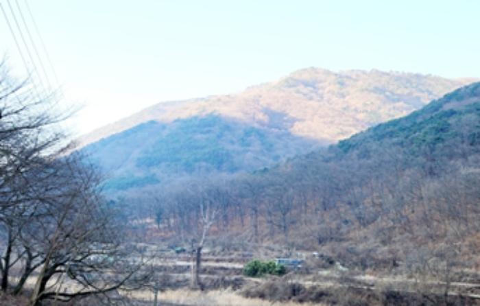 법원경매 2024타경45351 사진2 | 대구 달성군 가창면 오리 임야 경매