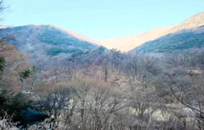 법원경매 2024타경45351 사진3 | 대구 달성군 가창면 오리 임야 경매