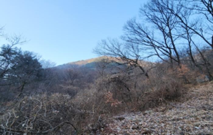 법원경매 2024타경45351 사진4 | 대구 달성군 가창면 오리 임야 경매