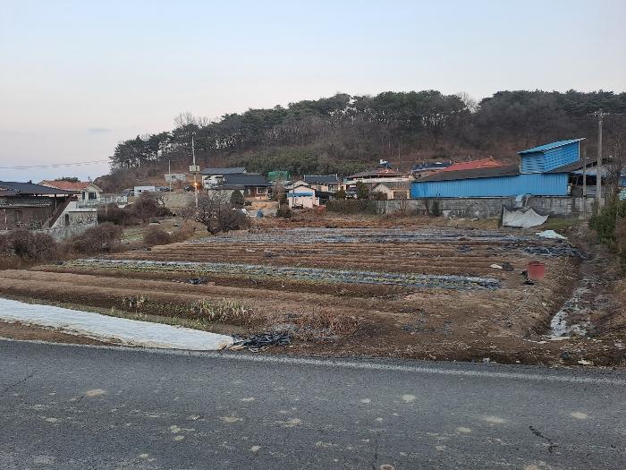 2023타경115740 법원경매 사진8 | 경남 김해시 답 경매