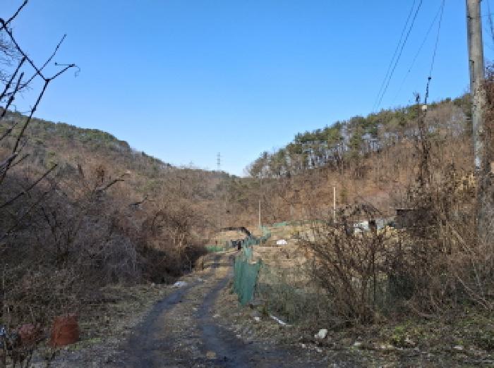 대전광역시 동구 장척동 36 법원경매 물건 대표사진
