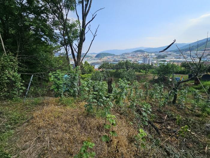 경상남도 김해시 주촌면 내삼리 521 법원경매 물건 대표사진